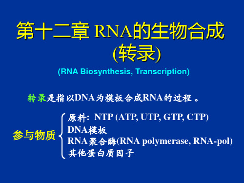 RNA的生物合成(转录)