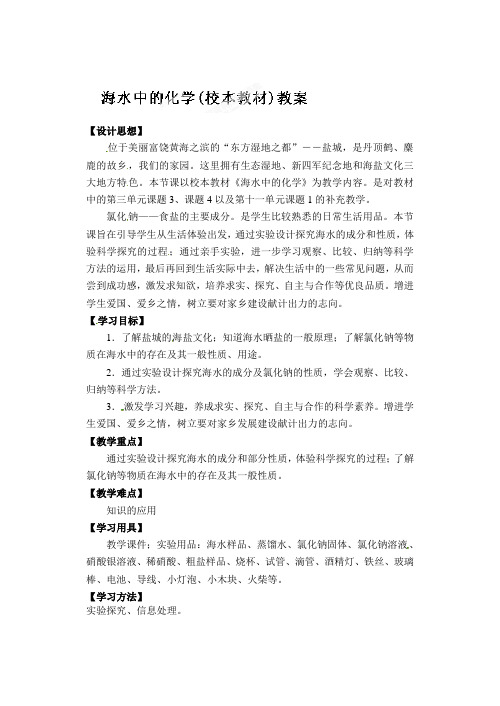 初中化学海水中的化学(教案)