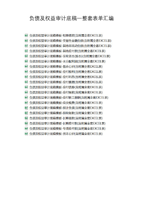 负债及权益审计底稿一整套表单汇编