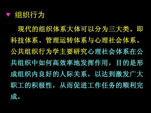 组织行为(13)