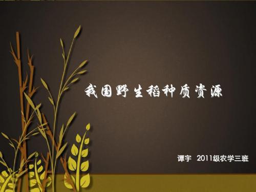 70--种质资源
