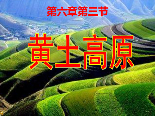 八年级地理下册 6.3 黄土高原(第1课时)课件 (新版)商务星球版
