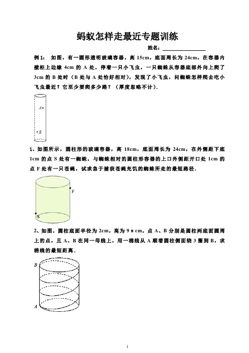 蚂蚁怎样走最近专题训练