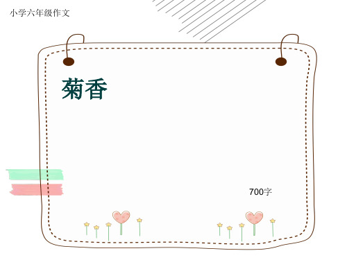 小学六年级作文《菊香》700字