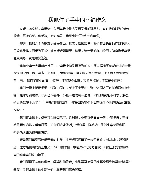 我抓住了手中的幸福作文