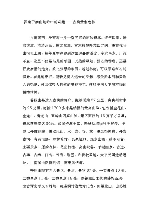 黄荆老林 文档