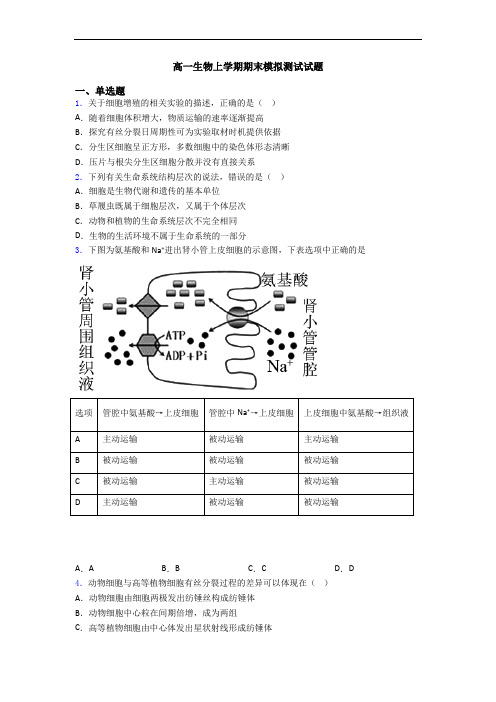 高一生物上学期期末模拟测试试题