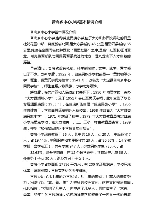 普底乡中心小学基本情况介绍