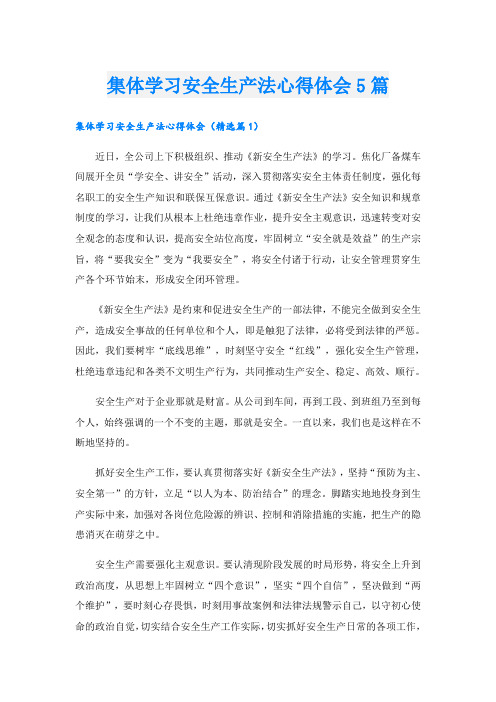 集体学习安全生产法心得体会5篇