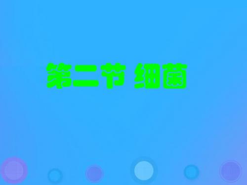 5.4.2《细菌》课件(25张PPT)