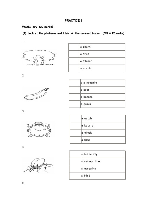 新加坡小学英语一年级试卷及答案PRACTICE 1