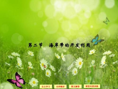 【创新设计】高中地理同步课件：3.2 海岸带的开发利用 (湘教版选修2)