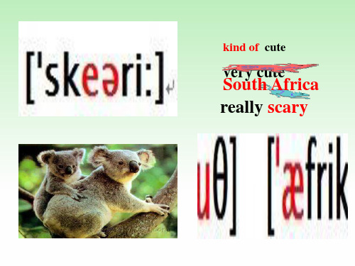 七下人教英语Unit 5 Why do you like pandas教学课件