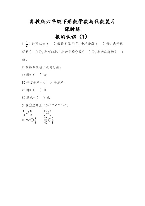 苏教版六年级下册数学数与代数复习课时练及答案