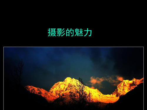 人教版高中美术选修：摄影的魅力_课件1