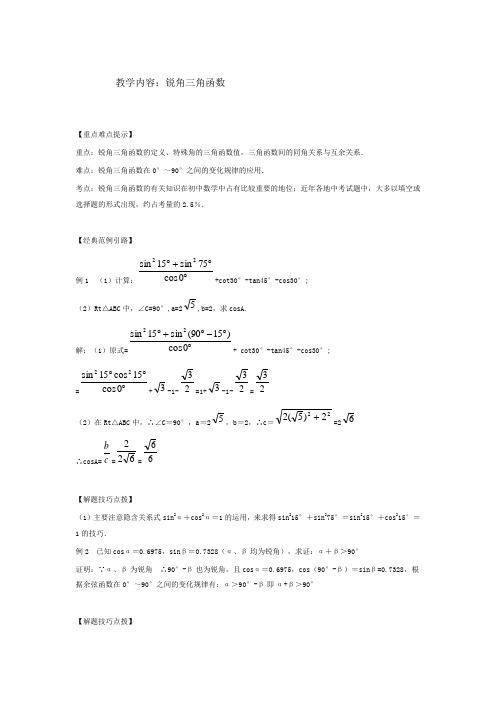 中考专题：锐角三角函数