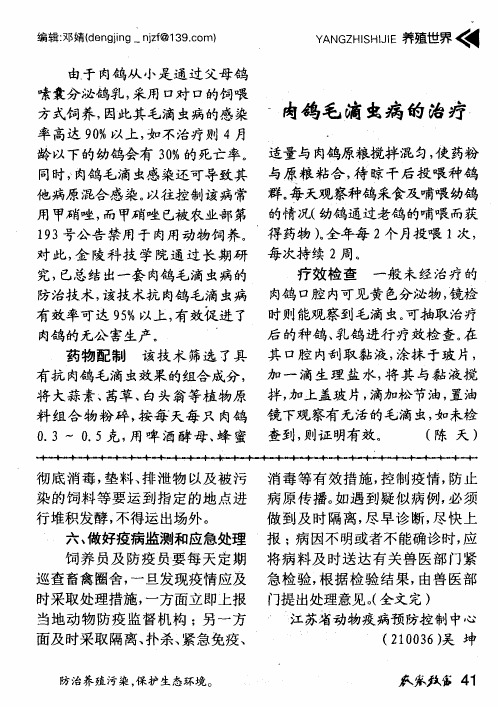 肉鸽毛滴虫病的治疗