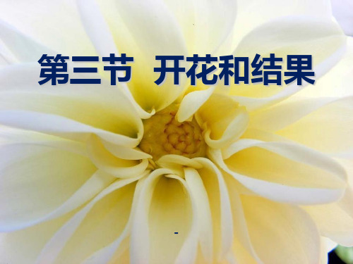 开花和结果-PPT课件 