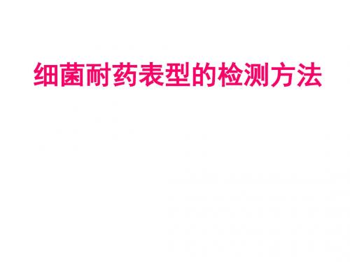 细菌耐药表型检测方法剖析