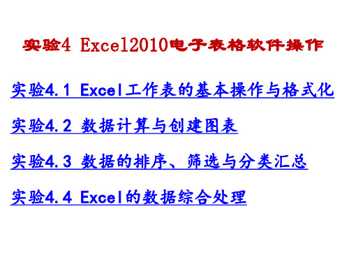 Excel2010电子表格软件操作