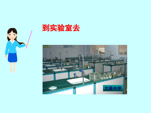 鲁教版初中化学九上 1.3  到实验室去--化学实验基本技能训练  课件  (1)