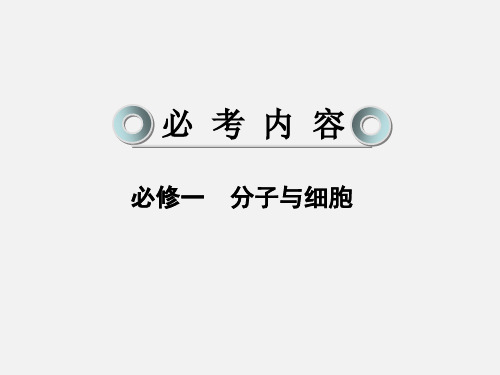 高考生物 一轮复习 1-3 生命活动的主要承担者---蛋白质 新人教必修1