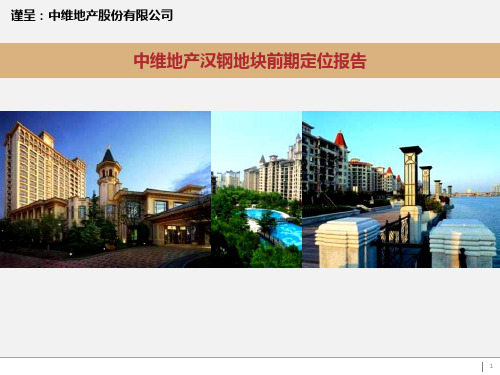 2011年武汉中维地产汉钢地块前期定位报告