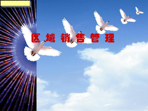 区域销售管理(城市经理、大区经理)课件