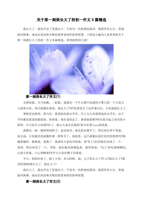关于那一刻我长大了的初一作文5篇精选