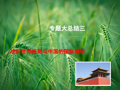 高考历史总复习战后世界格局与中国的国际地位专题大总结课件课件