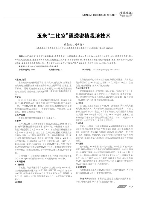 玉米“二比空”通透密植栽培技术