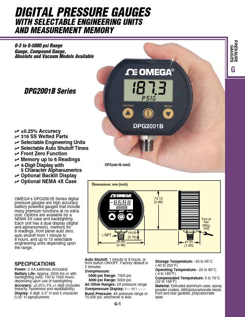 Omega DPG2001B数字压力计说明书