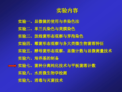 微生物实验-平板菌落计数与菌种分离纯化技术