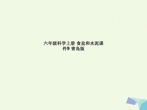六年级科学上册 食盐和水泥课件9 青岛版