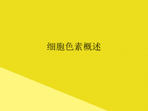 细胞色素概述PPT资料(正式版)