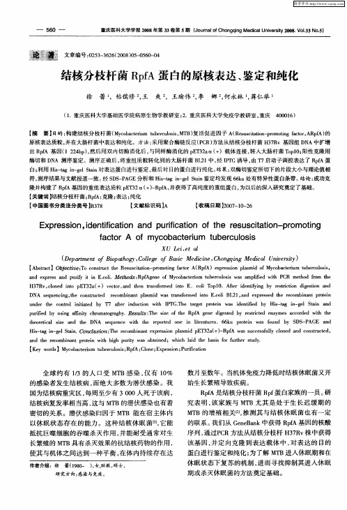 结核分枝杆菌RpfA蛋白的原核表达、鉴定和纯化