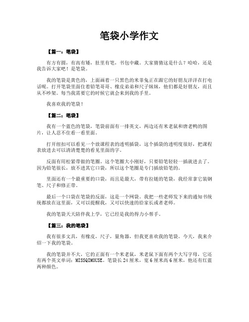 笔袋小学作文