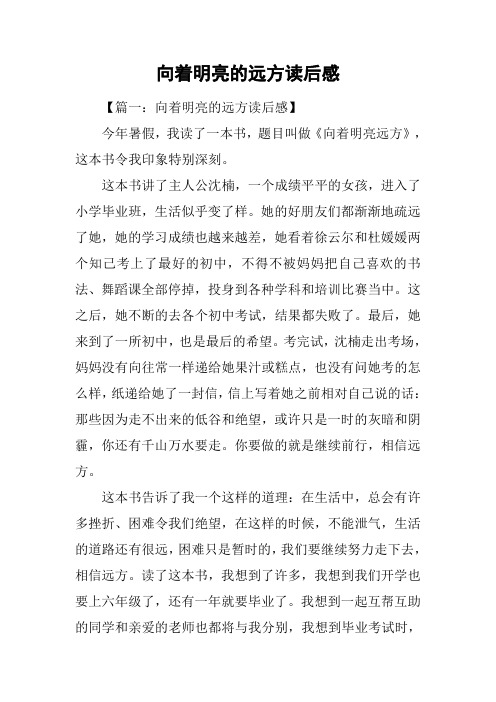 向着明亮的远方读后感