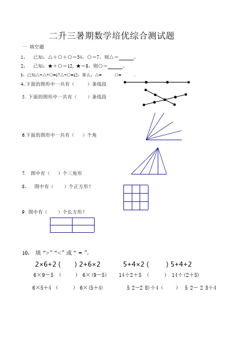 二升三暑期数学培优训练综合测试题
