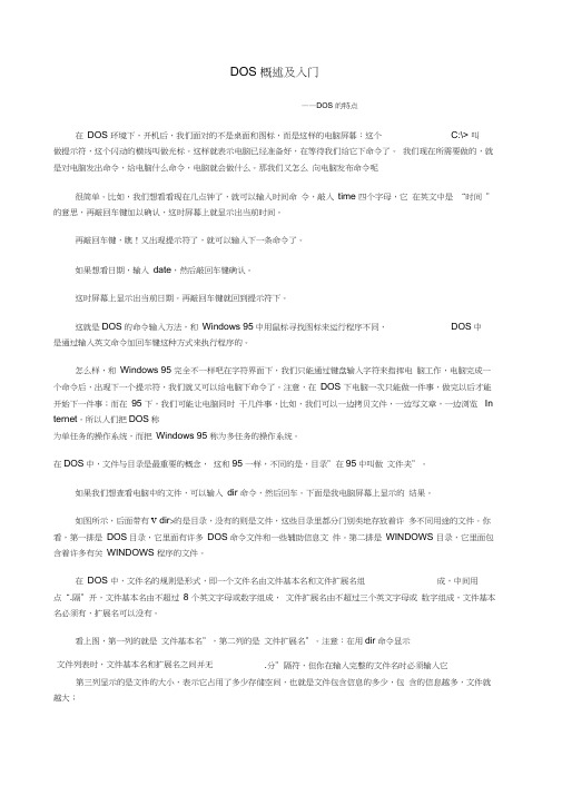 DOS概述及入门