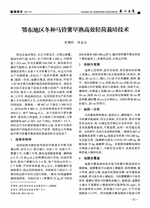 鄂东地区冬种马铃薯早熟高效轻简栽培技术