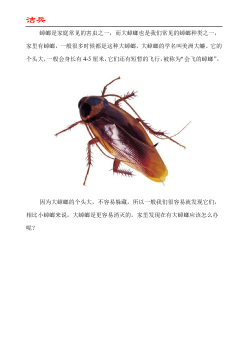 家里有大蟑螂怎么办
