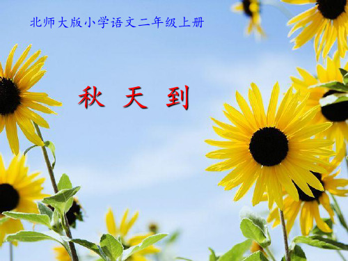《秋天到》教学演示课件