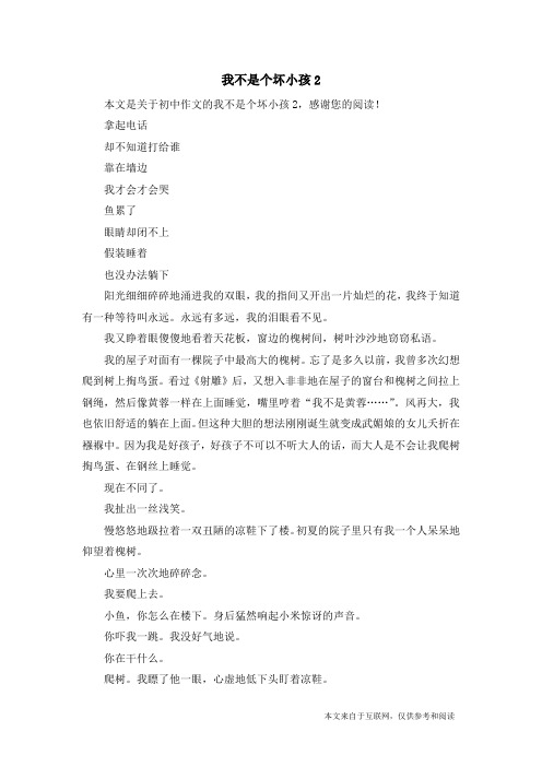 我不是个坏小孩2_初中作文