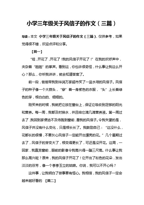 小学三年级关于风信子的作文(三篇)