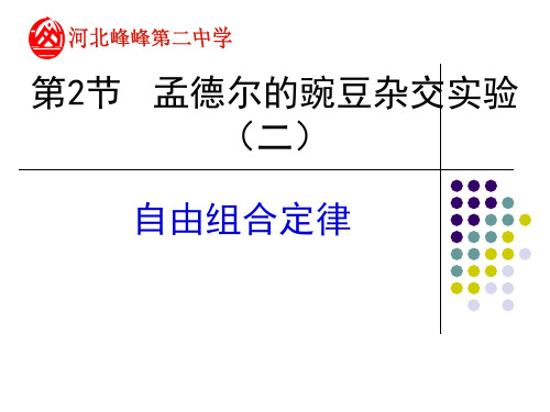 1.2.孟德尔的豌豆杂交实验(二)人教版生物必修二49PPT