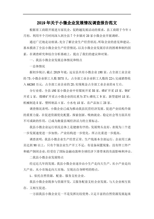 推荐下载  2019年关于小微企业发展情况调查报告范文-最新