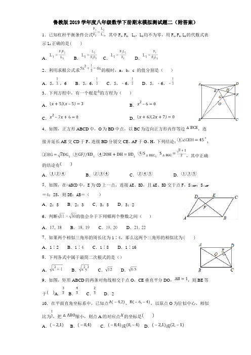 鲁教版2019学年度八年级数学下册期末模拟测试题二(附答案)