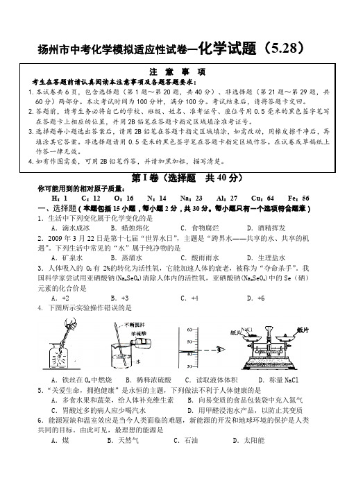 扬州市中考化学模拟适应性试卷一
