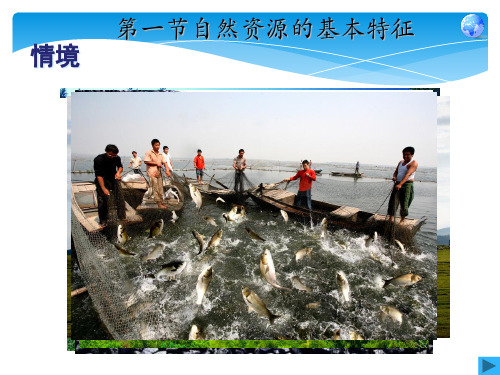 《中国的自然资源》PPT新教材人教版1